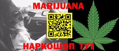 сатива Камышлов